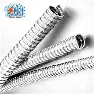 3/4 Zoll verzinktes flexibles Rohr
